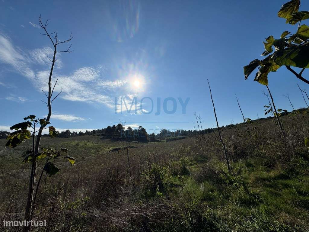 Magnífico Terreno Rústico com Ruína - Grande imagem: 4/30