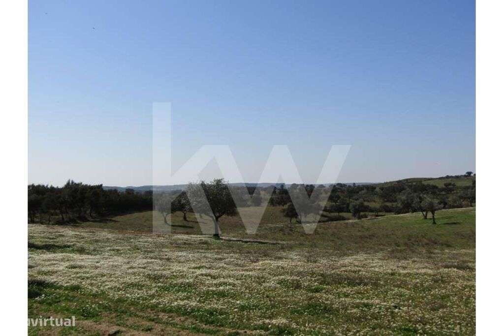TERRENO AGRÍCOLA COM 3.325 HA  COMENDA, GAVIÃO - Grande imagem: 4/16