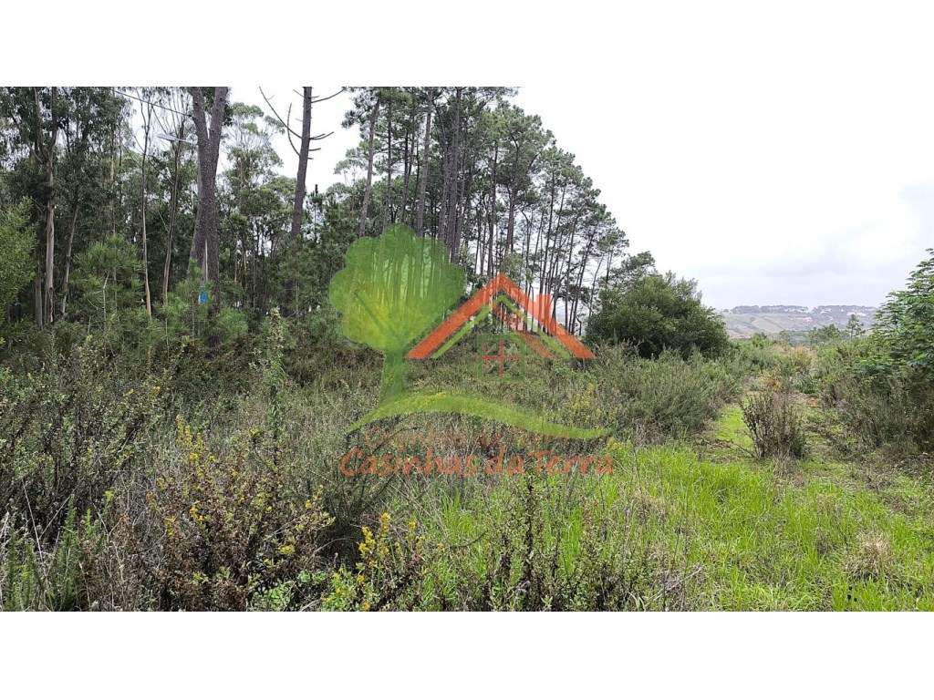 Terreno rústico com quintas em redor - Grande imagem: 2/9