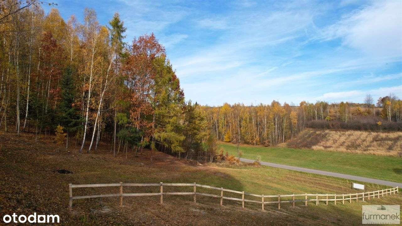 Widokowa działka budowlana 0,42 ha z własnym lasem - Pełny obrazek: 5/20