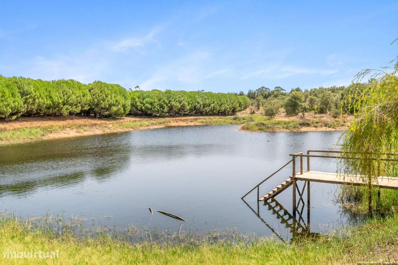 Herdade com moradia T4+1, piscina e lago-43