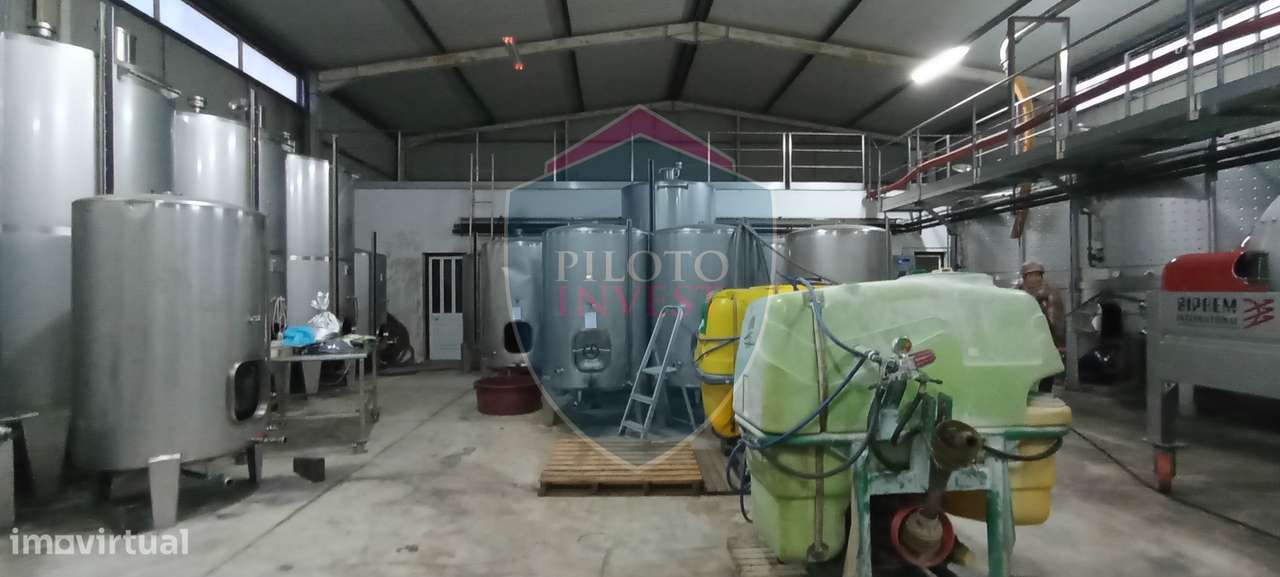 Quinta  Venda em Sezures,Penalva do Castelo-17