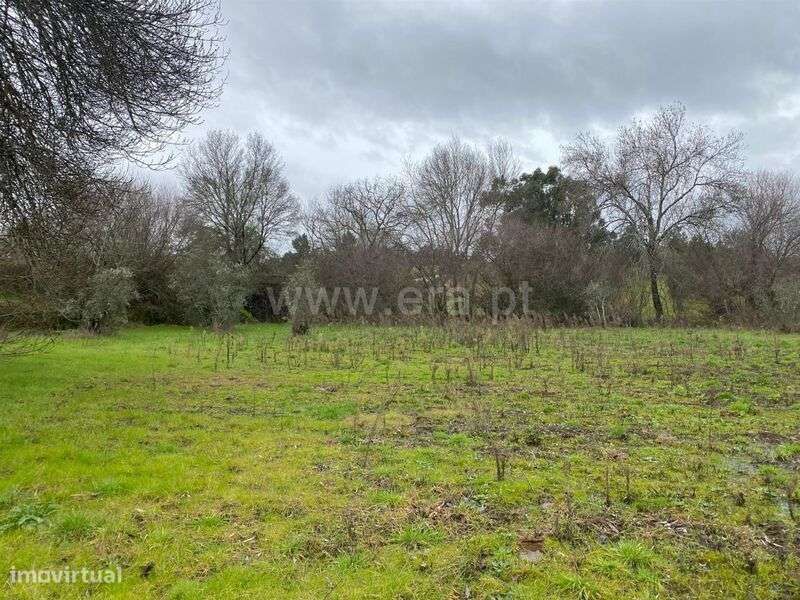 Terreno Rústico / Fundão, Orca - Grande imagem: 4/6