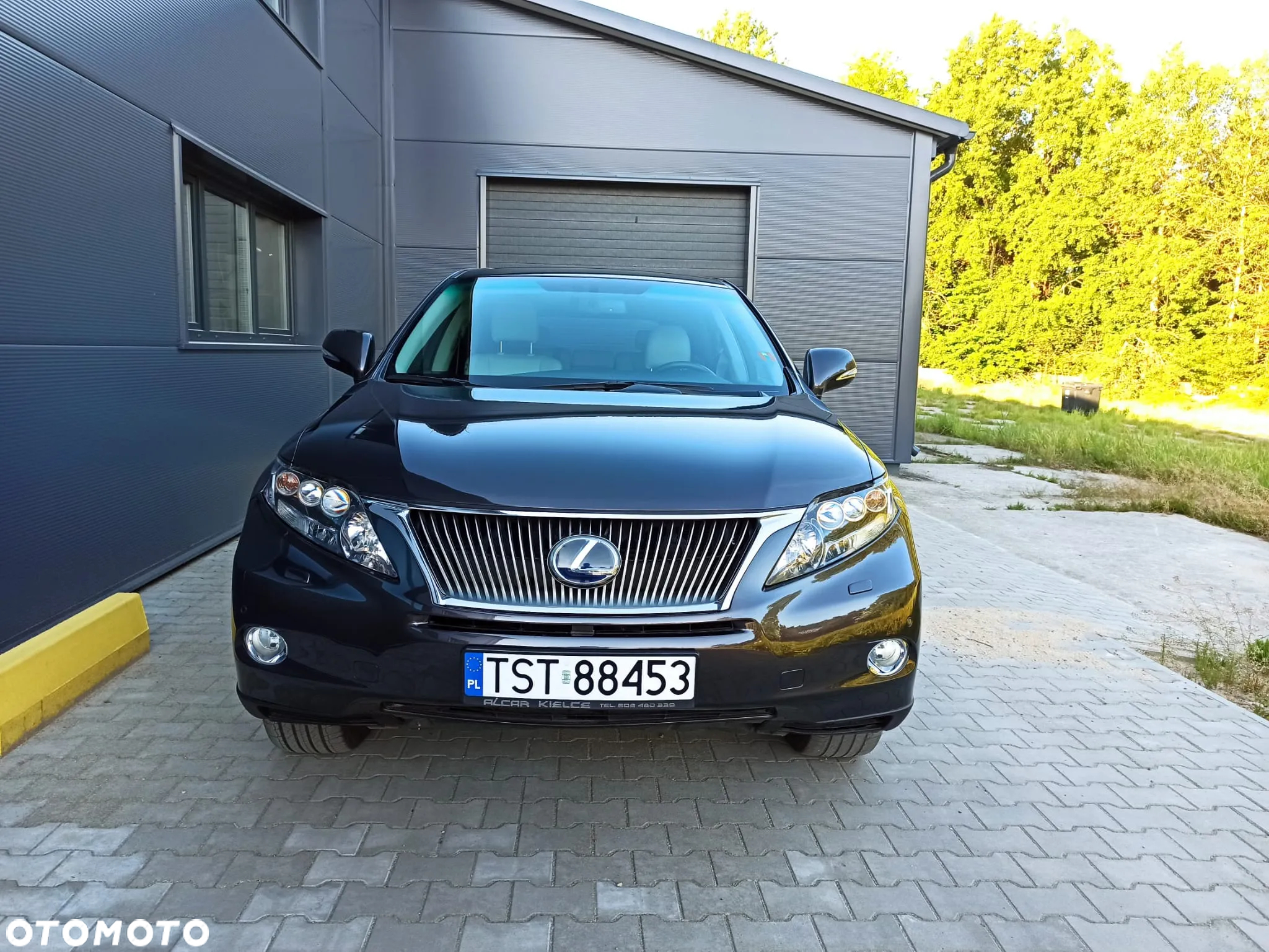 Lexus RX 450h (hybrid) Luxury Line - 30