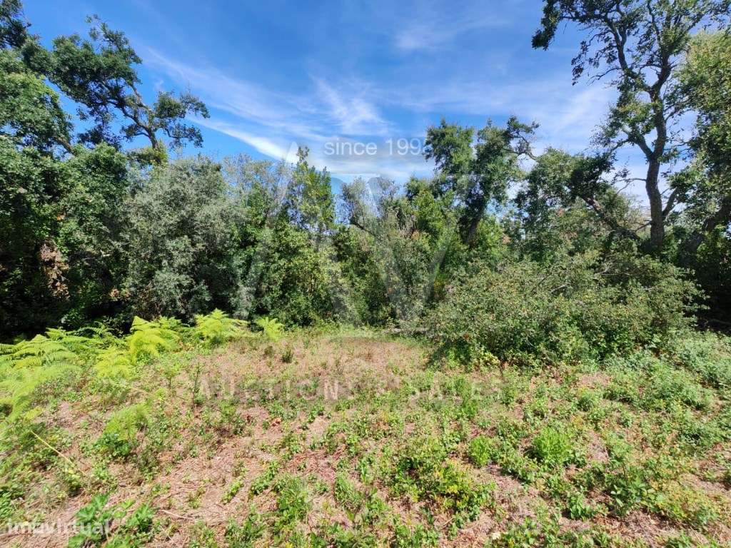 LOTE PARA MORADIA, viabilidade de área de implantação de 200 m² e á...-2