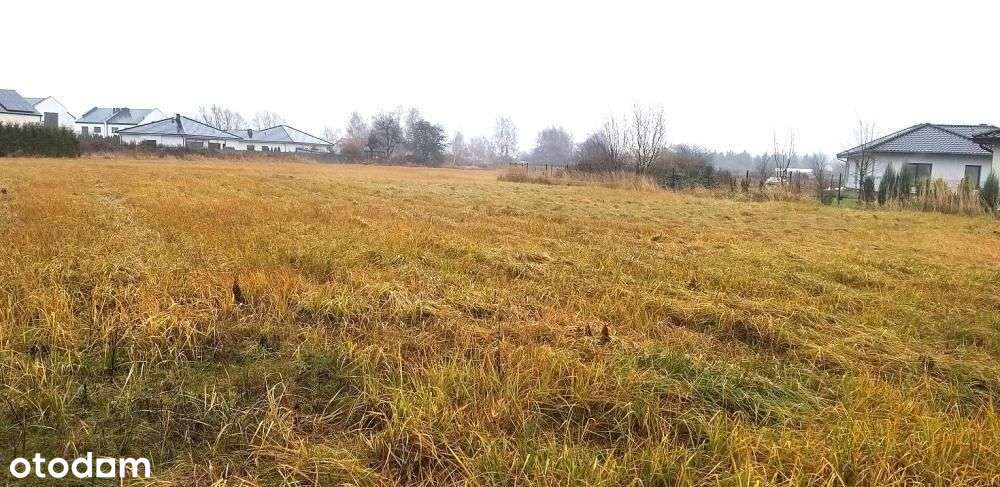 Tarnowo Podgórne - obniżka ceny !!1-3