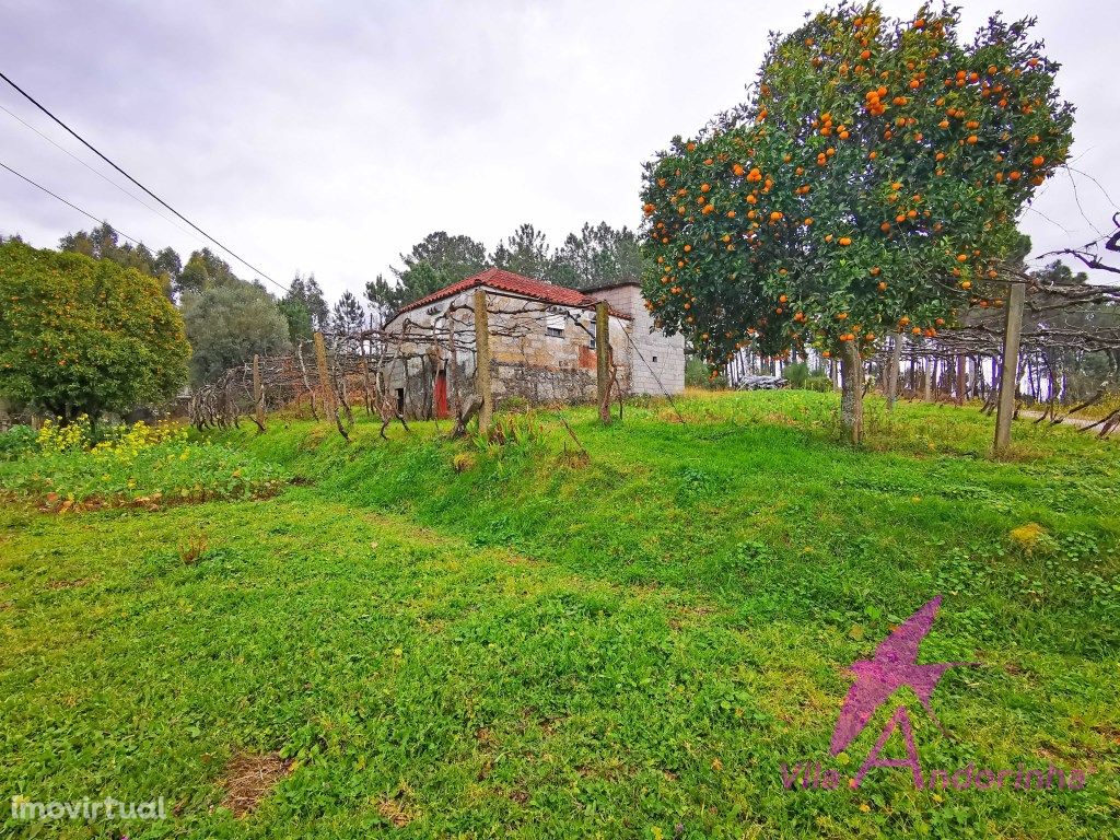 Casa para restauro em Ponte de Lima - 135 m2