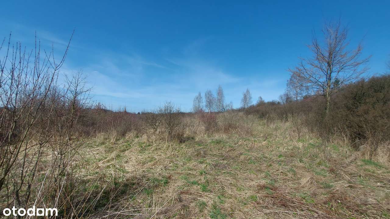 Widokowa działka w Niegowoniczkach, tylko 1 sąsiad-1