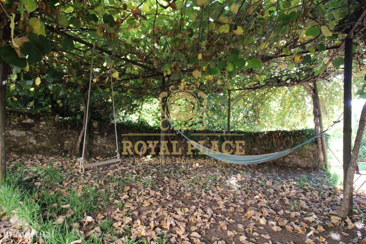 Quinta com armazém em Ossela, Oliveira de Azeméis-18