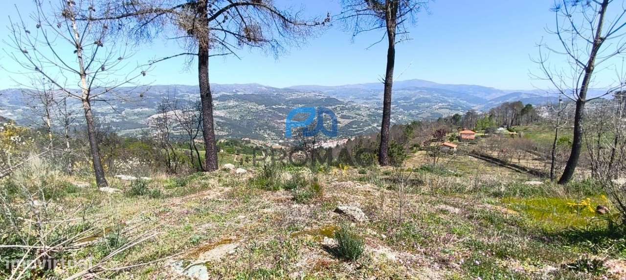 Quinta com 3 artigos urbanos, piscina e 9,4 ha em Resende-53