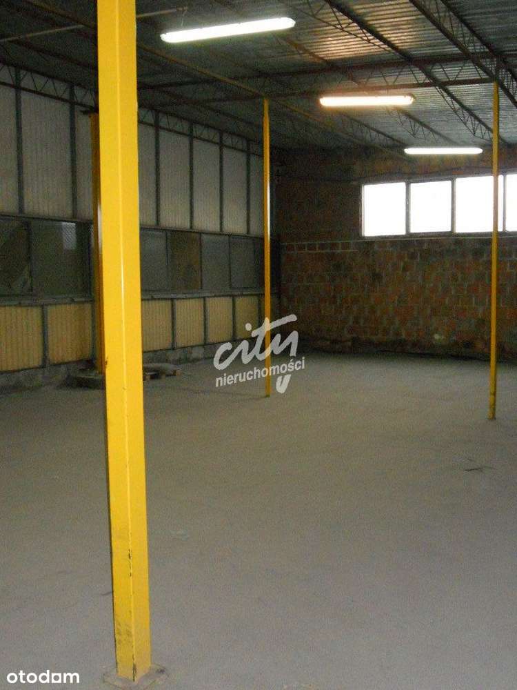 Dwie Hale Na Sprzedaż Mierzyn - Pełny obrazek: 5/7