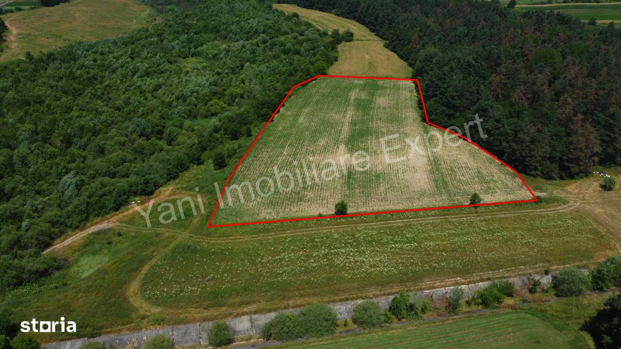 Teren de vânzare în comuna Băiculești, Judet Argeș ( 11.000 mp ) - Imagine principală: 3/12