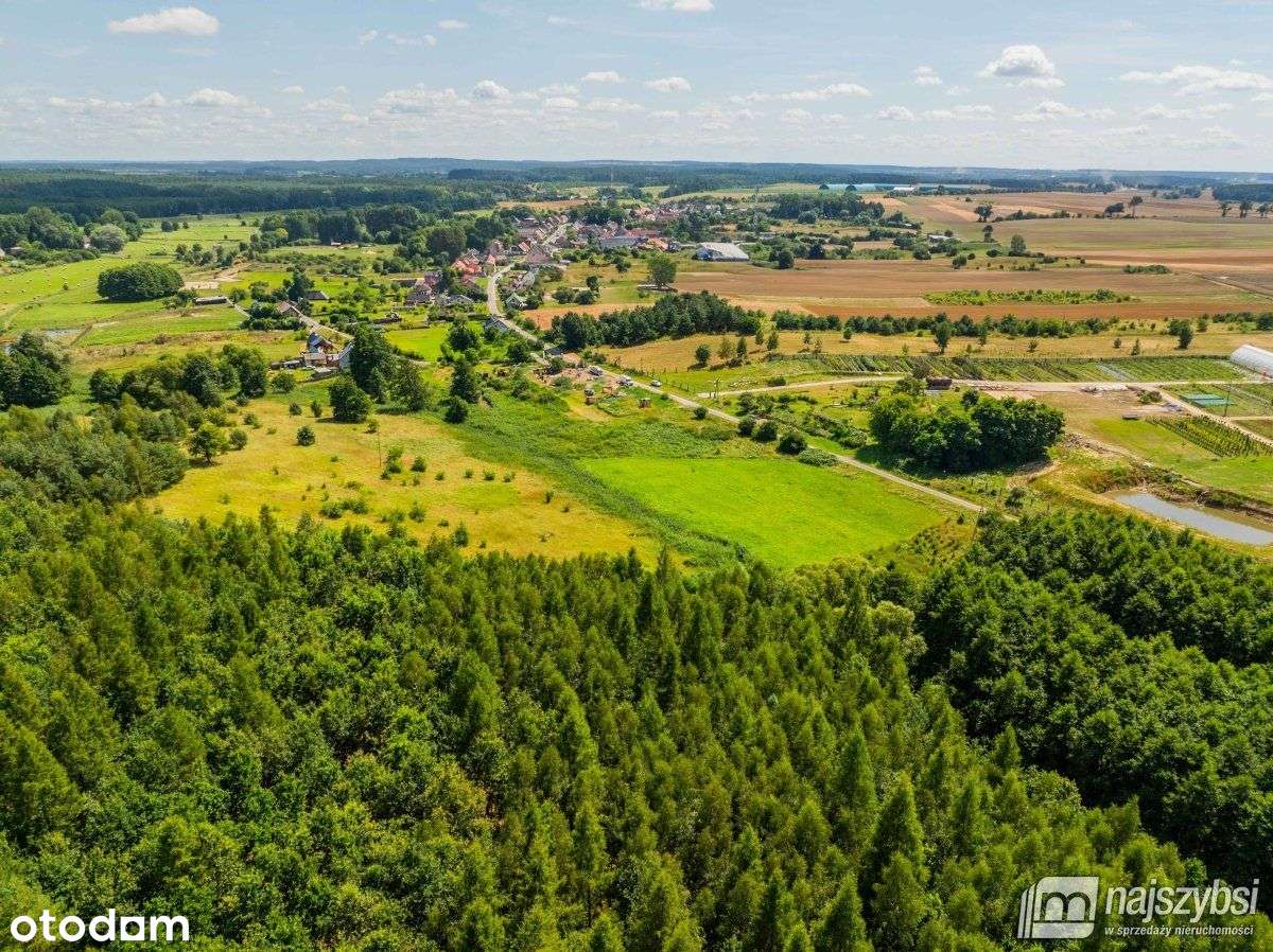 Chojna - atrakcyjna działka 2,32 ha - Pełny obrazek: 5/15