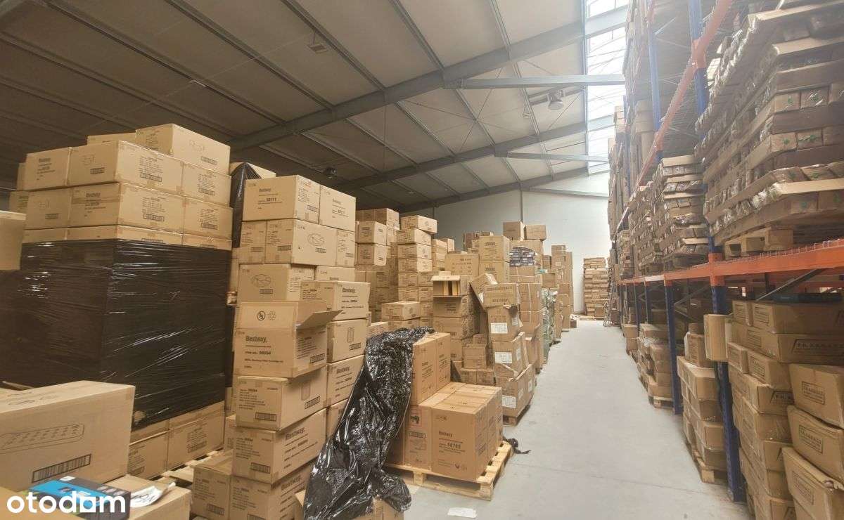 Hala, magazyn, produkcja - Niepołomice - Pełny obrazek: 4/5