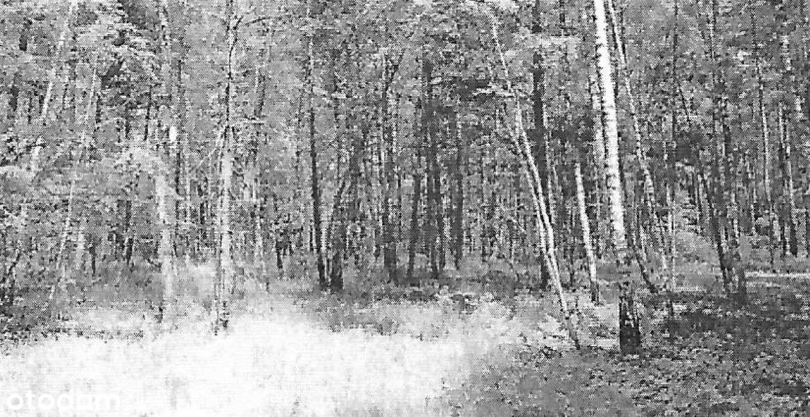 Sprzedam działki 5600 m2 - Pełny obrazek: 1/2