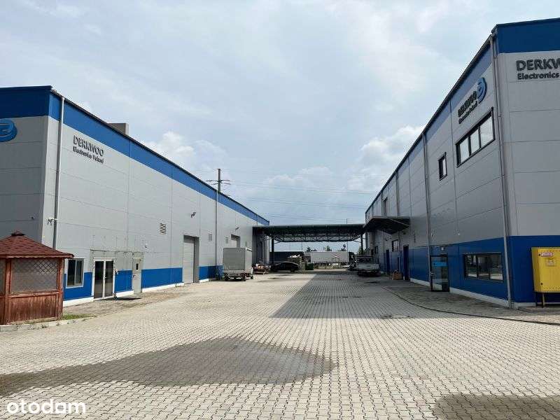 Biskupice Podgórne -nieruchomość produkcyjna 0.7ha - Pełny obrazek: 4/6