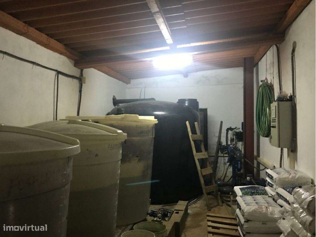 Estremoz Évora herdade 5ha projeto aprovado hotel Rural 4*e nogueir...-18