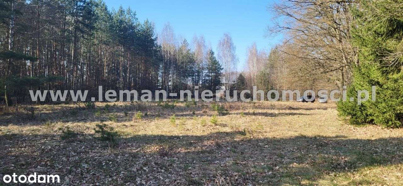 Działka, 5 539 m², Ryki-0