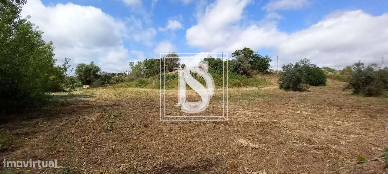 Quinta T2 em UDF de Romeira e Várzea - Grande imagem: 3/29