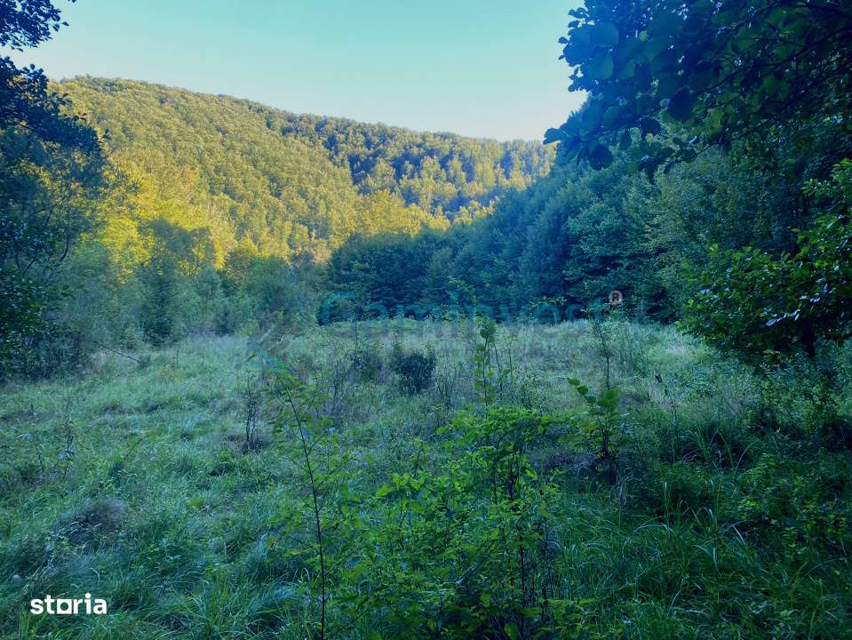 Teren de 2000 mp intravilan, Valea Finisului, Bihor, @Gaminvest, V4232-0