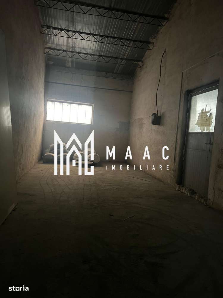 Hala | 380 MP | Teren 800 MP - Imagine principală: 4/4