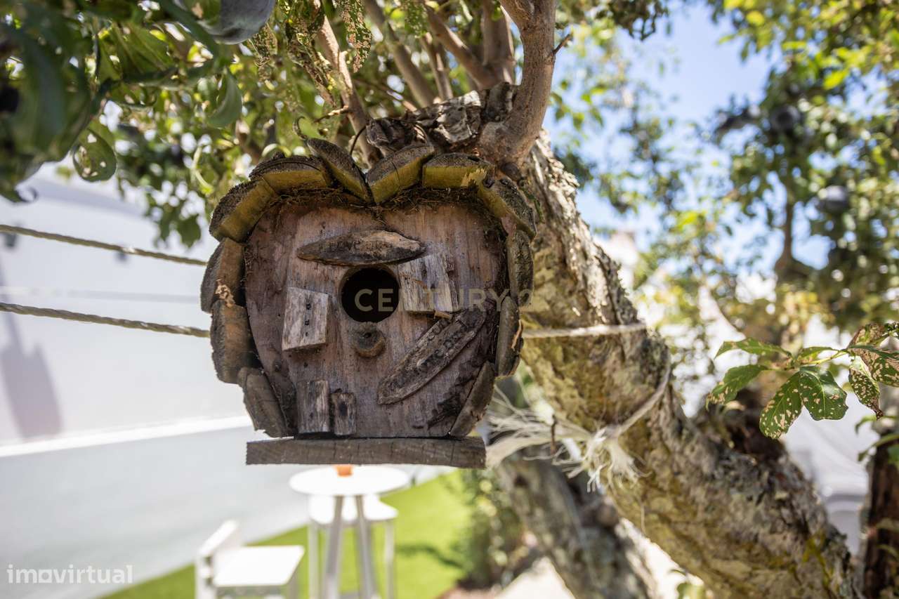 Moradia T2 Renovada com Quintal e Jardim – O Refúgio Ideal para Viver-35