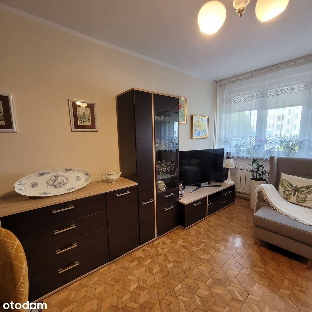 Mieszkanie 2 pokoje, rozkład, plomba, w ok. pl Bema-6