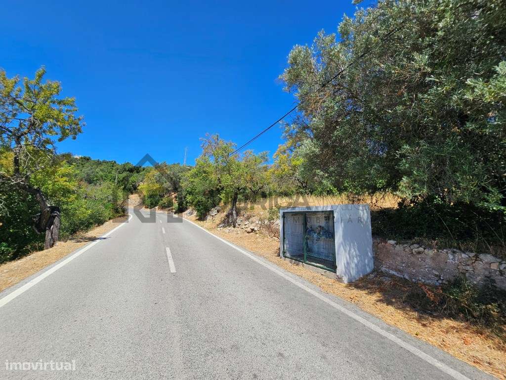Bonito terreno com ruína em zona calma-17