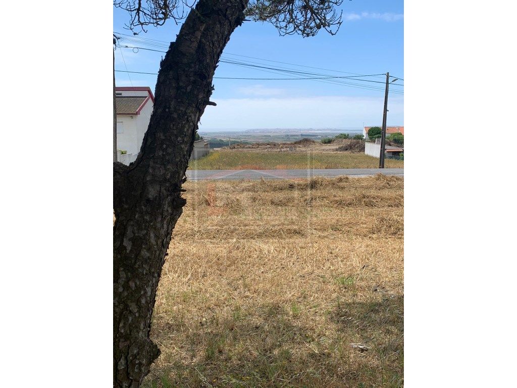 Terreno com Vista Mar para construção