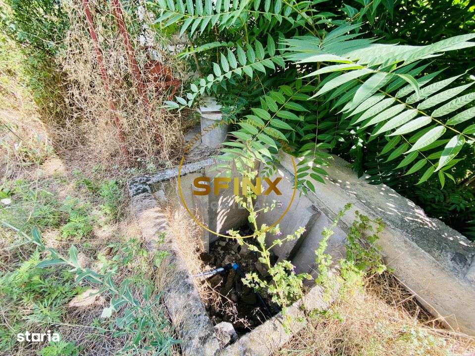 De vanzare teren generos in Lipia, comuna Gruiu – aproape de A3 - Imagine principală: 3/10