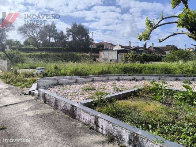 Quinta com Moradia Isolada e 4.450m² de Terreno Oiã Oliveira d Bairro-31