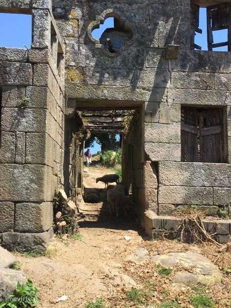 Quinta com 3 casas e vista de rio em Penafiel - Grande imagem: 5/12
