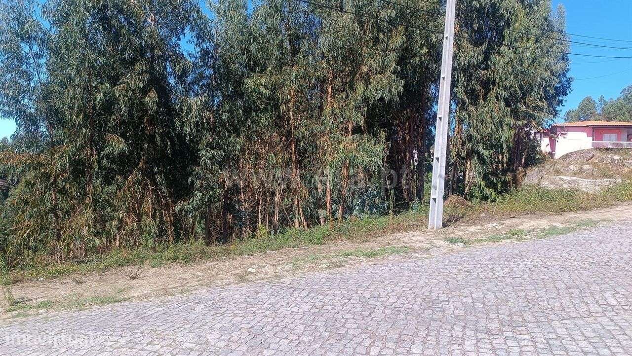 Terreno para Construção / Amarante, Vila Caiz - Grande imagem: 3/3