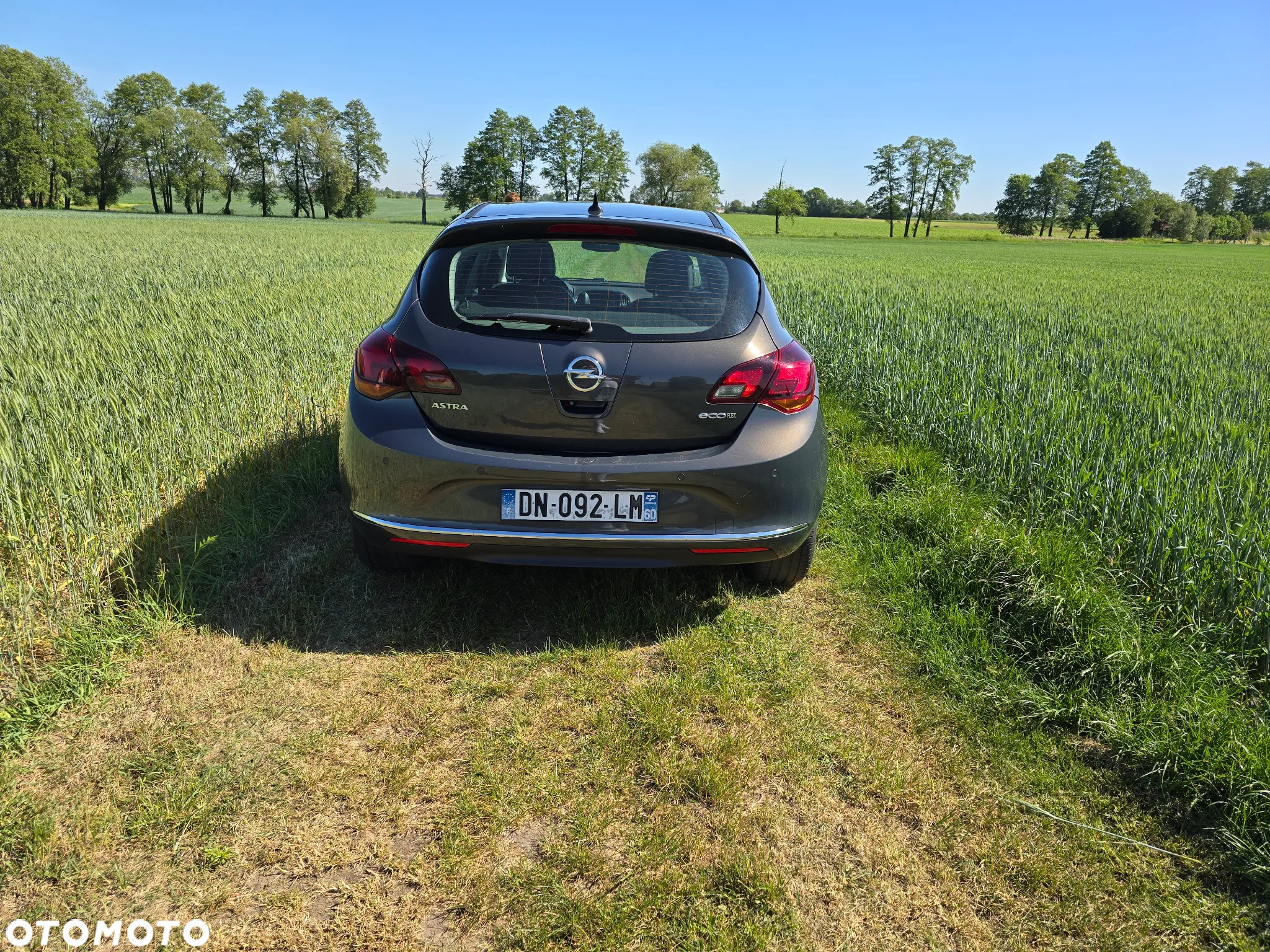 Opel Astra IV 1.6 CDTI Cosmo - 5