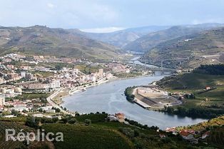 Terreno PIP aprovado para hotelaria - Vistas Rio Douro - Régua