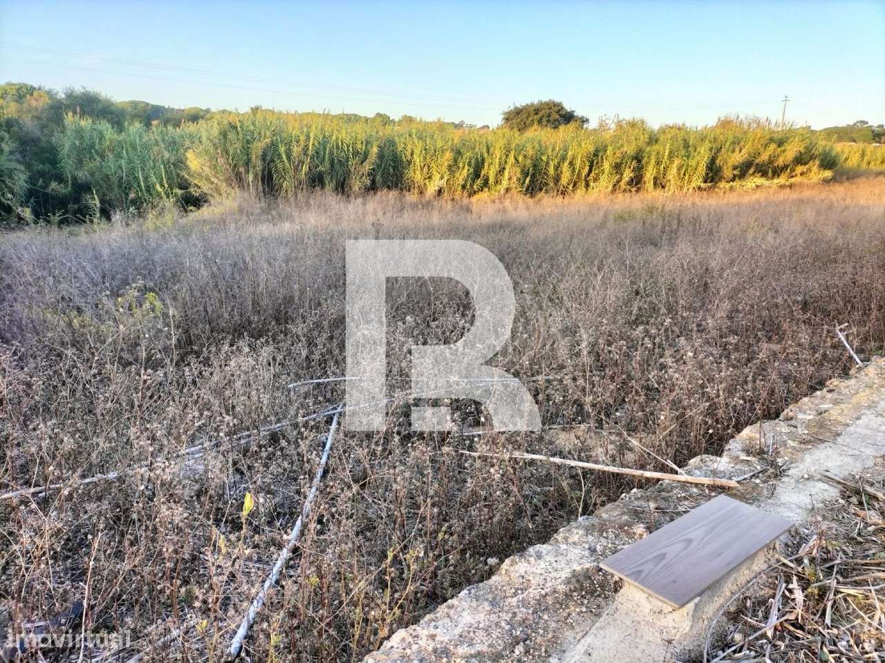 Terreno Rústico em Janas - Grande imagem: 4/12