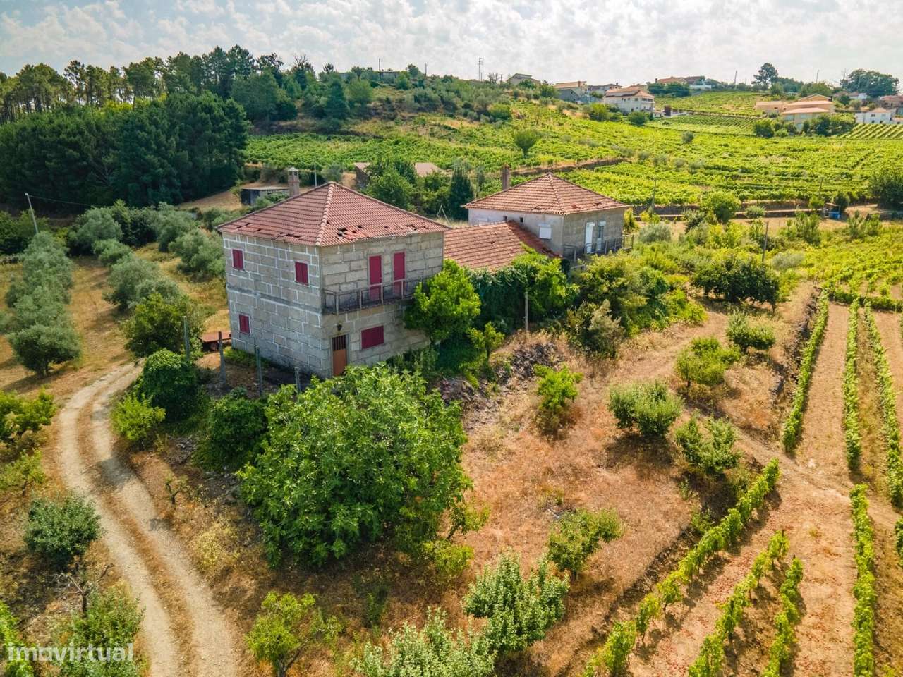 Quinta do Fojo / T8 / Vinhas / Oliveiras - Grande imagem: 3/31