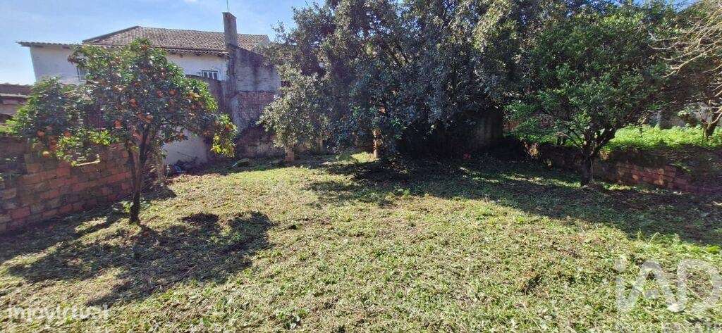 Casa / Villa T8 em Rio Maior de 226,00 m2 - Grande imagem: 4/30