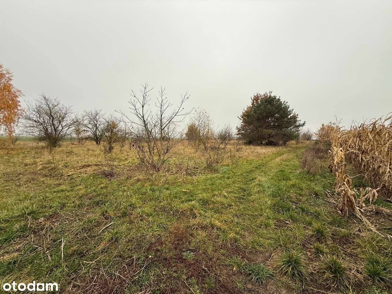 Grunt inwestycyjny, turystyka, sport i rekreacja, Batorowo-14