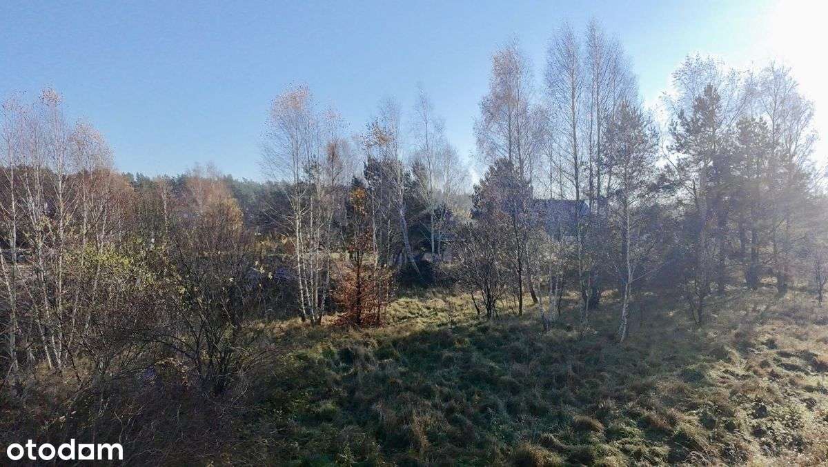 Sprzedam działkę w Miszewku- blisko lasu i jeziora - Pełny obrazek: 4/13