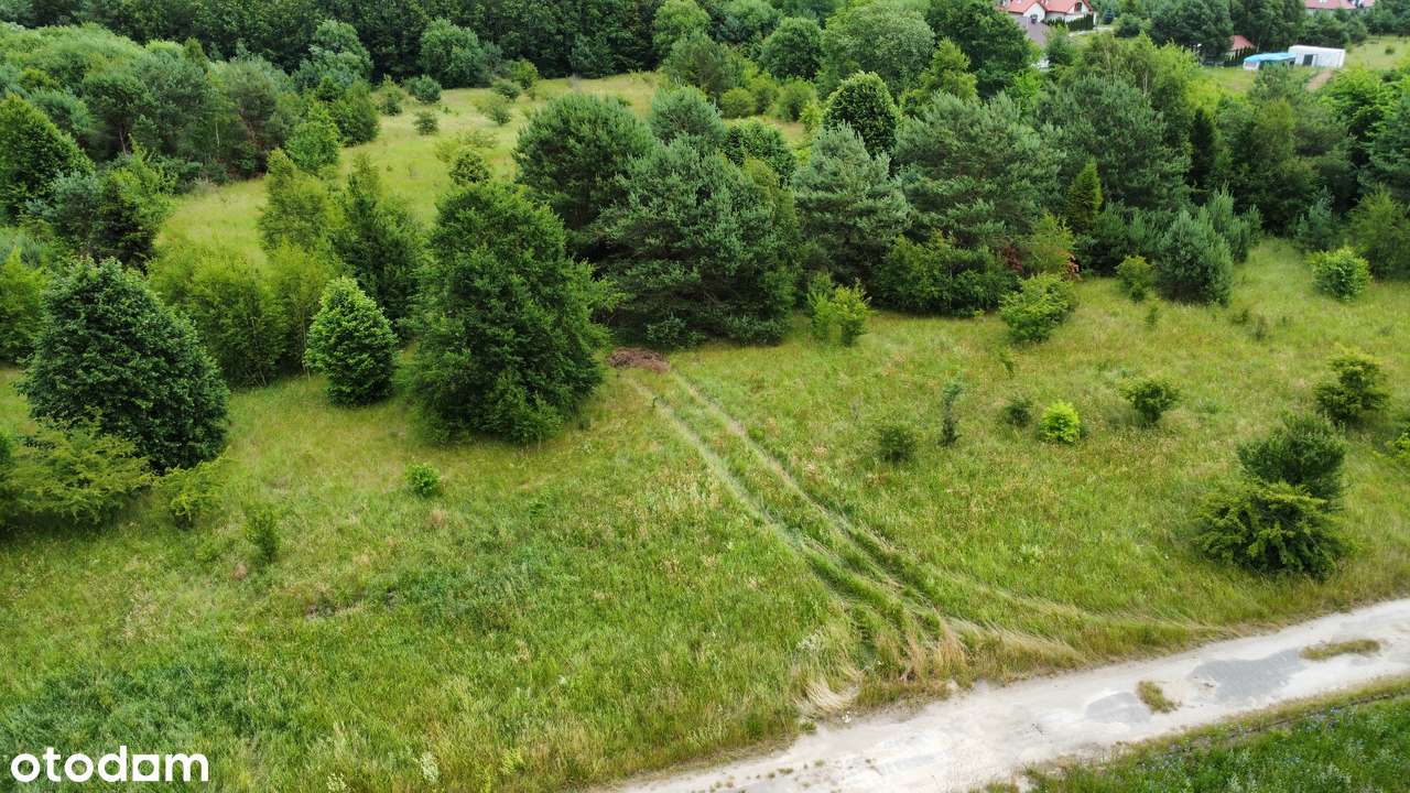 Działka pod zabudowę mieszkaniową na obrzeżu Gniewina.-2