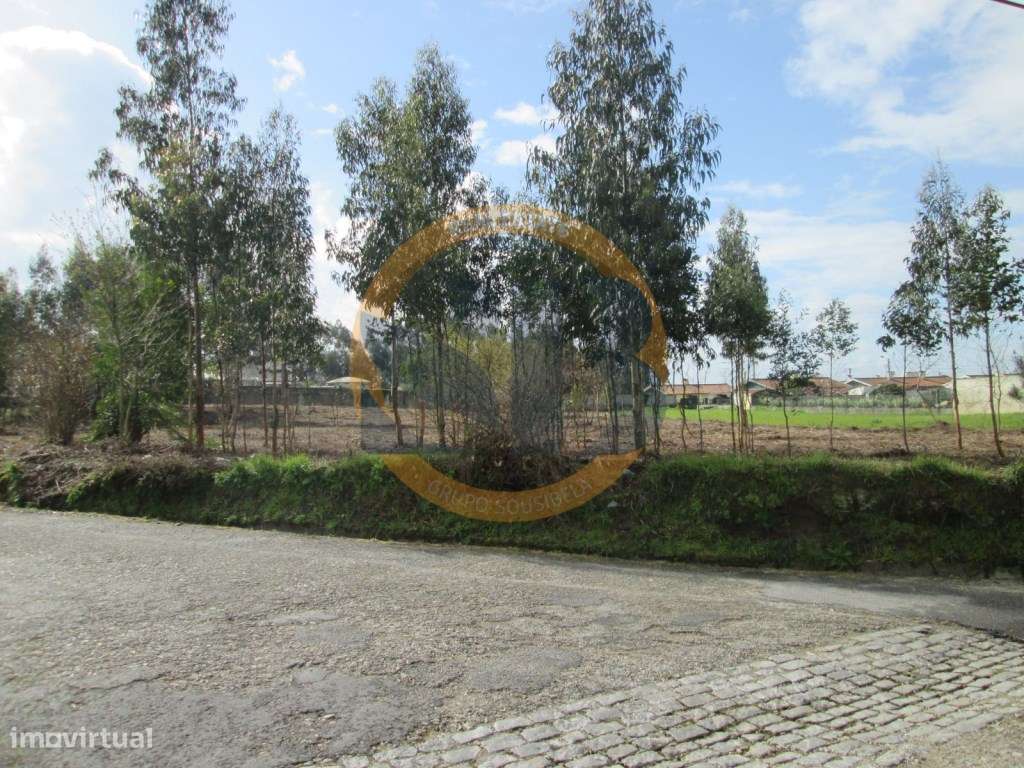 Terreno em São João de Ovar - Grande imagem: 3/4