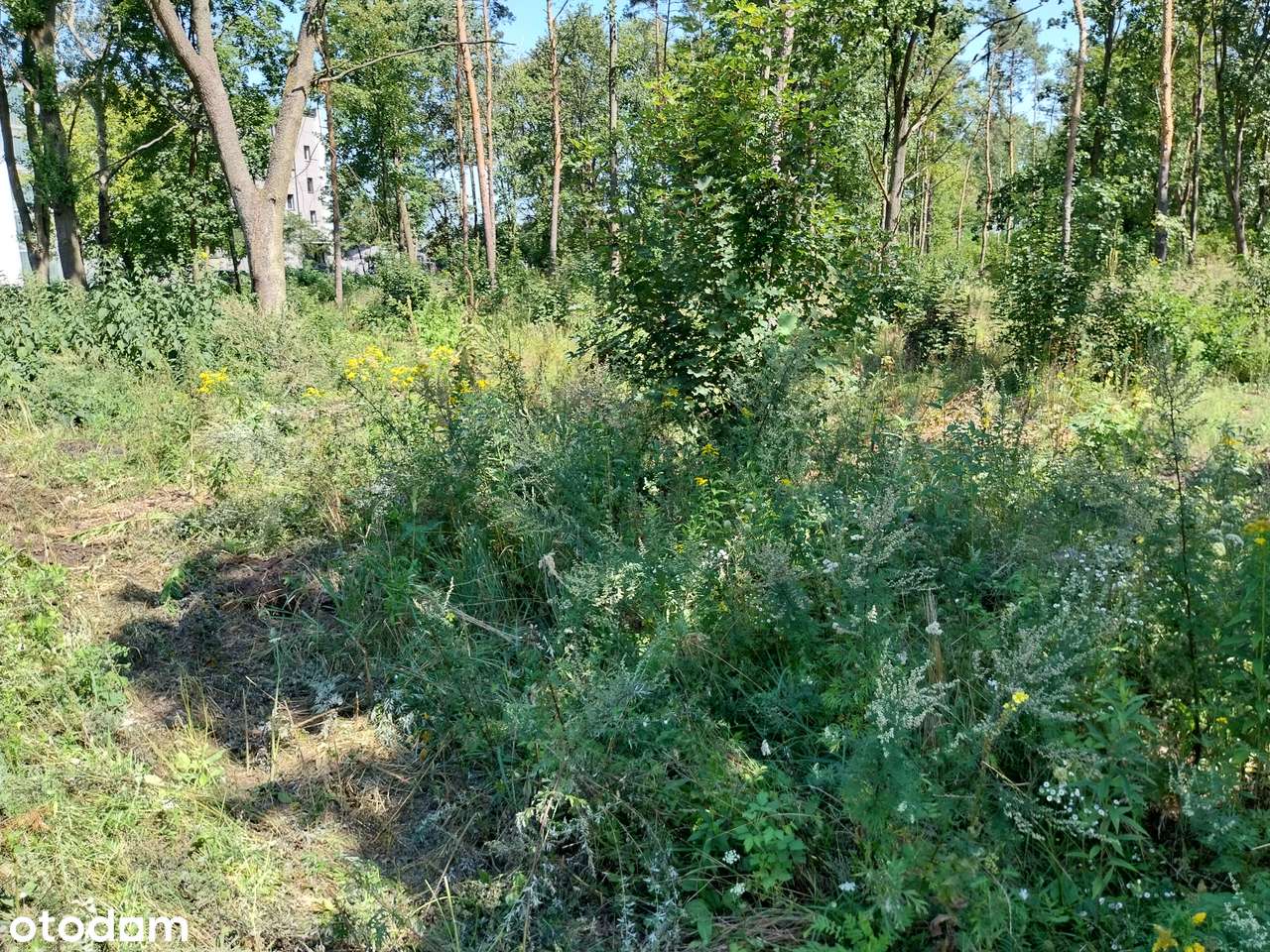 nieruchomość inwestycyjna (produkcja/usługi-3