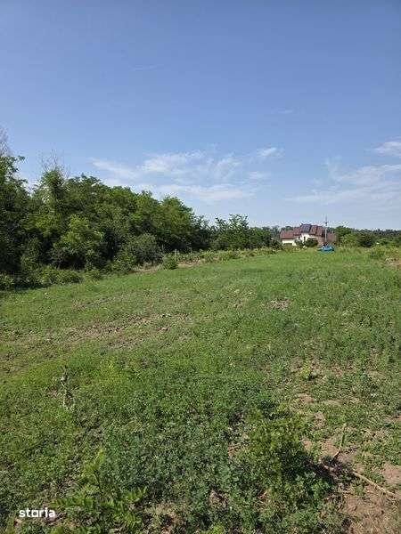 Teren intravilan BRANESTI PASAREA - Imagine principală: 5/6