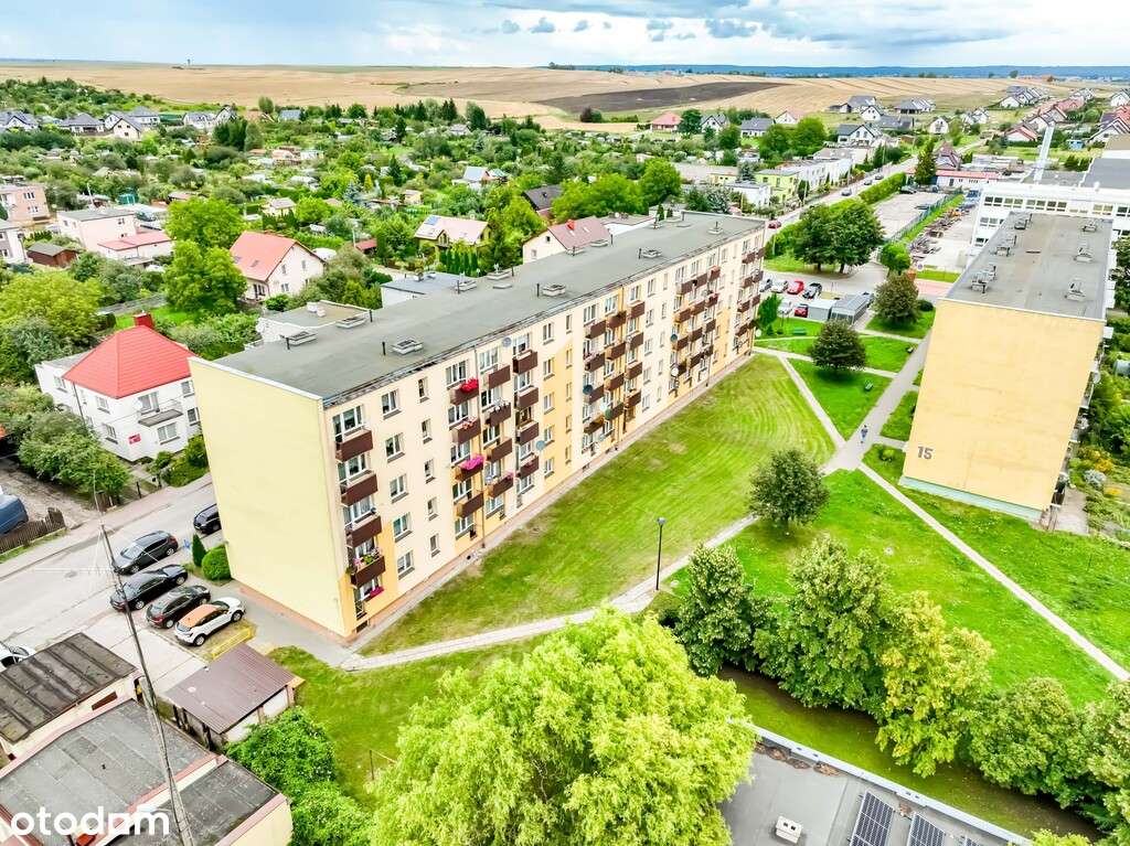 Jeśli w twoich żyłach płynie królewska krew ...-15