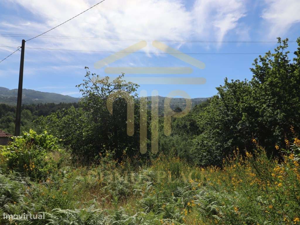 Terreno com 17.800 m², Casa para Reconstruir e mina de Água - Soalh...-11