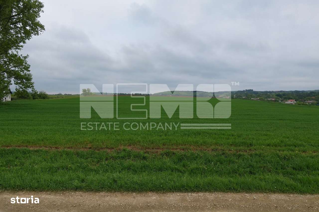 Teren intravilan 3.931 mp | Iacobești | Investiție excelentă - Imagine principală: 4/10