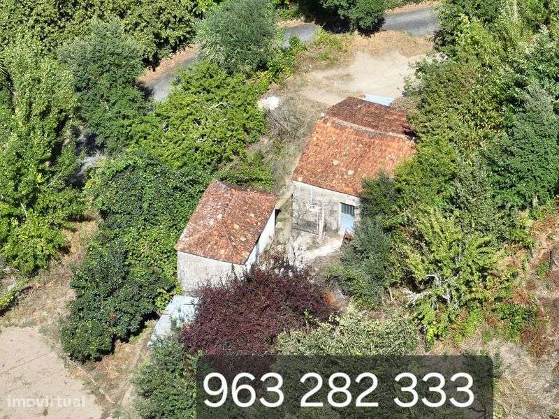 Quinta no douro a beira rio - Grande imagem: 4/11