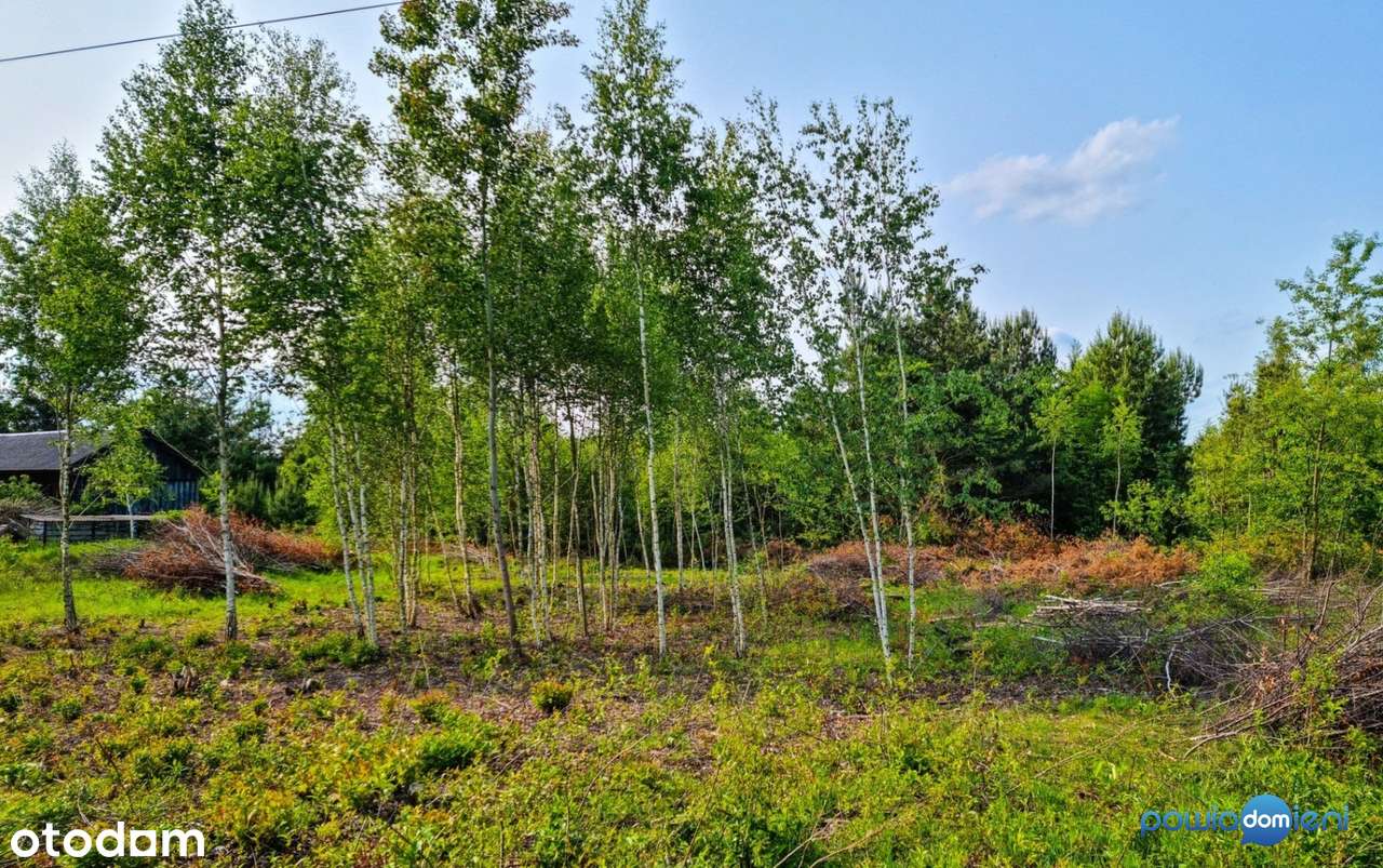 Działki budowlane 8 minut od Radomia (bez prowizji)-1