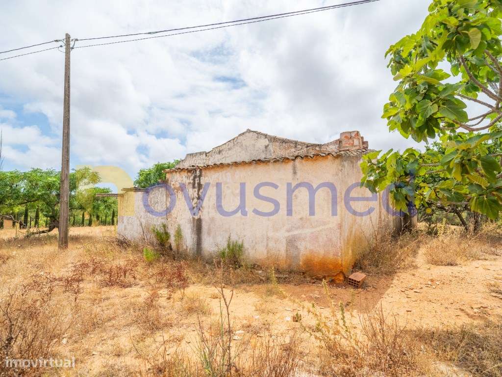 Quinta de 2,1 ha com Potencial para Turismo Rural- Guia Valverde-4